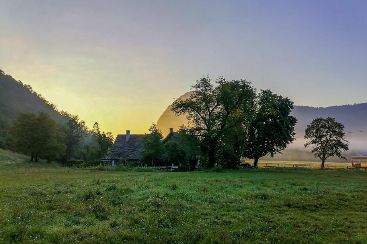 Charming Blacksmith'S House @ Lake ボーヒニ エクステリア 写真