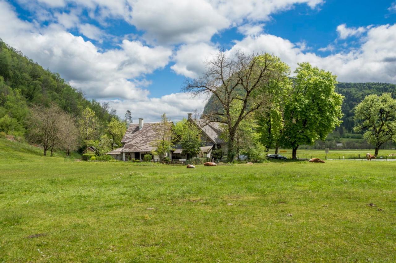Charming Blacksmith'S House @ Lake ボーヒニ エクステリア 写真