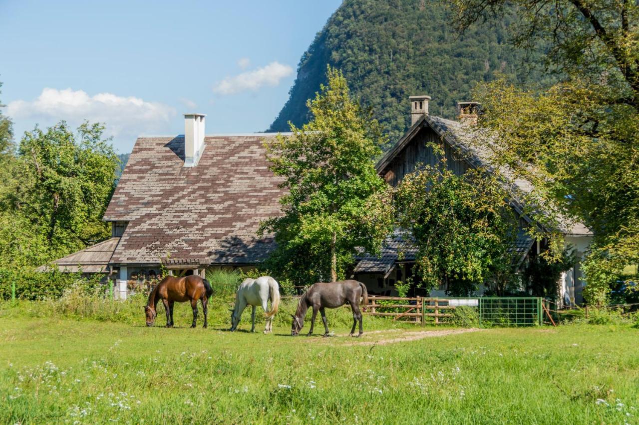 Charming Blacksmith'S House @ Lake ボーヒニ エクステリア 写真